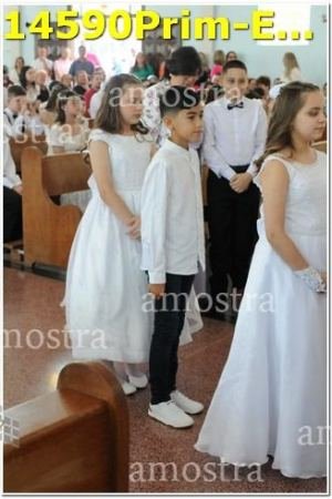 14590Prim-Euc-PSos-05-11-2023