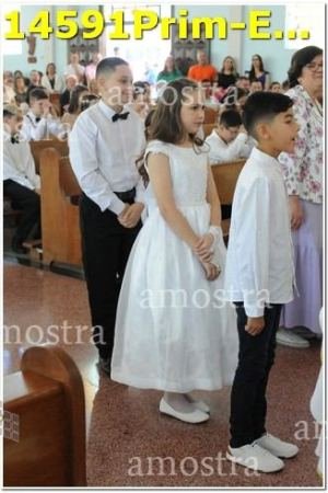 14591Prim-Euc-PSos-05-11-2023