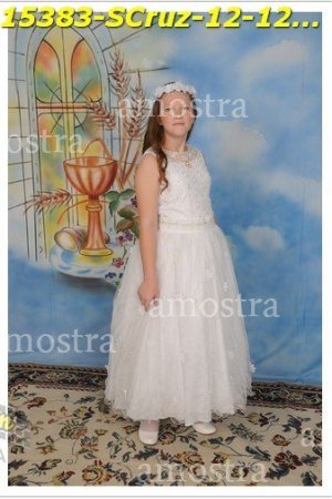 15383-SCruz-12-12-2021