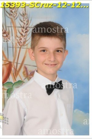 15393-SCruz-12-12-2021