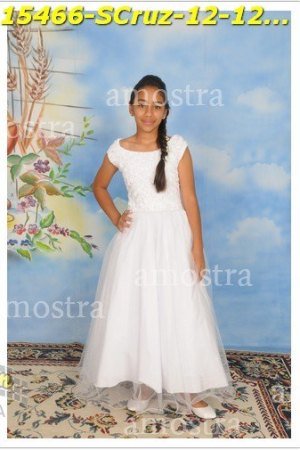 15466-SCruz-12-12-2021