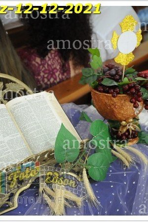 15806-SCruz-12-12-2021